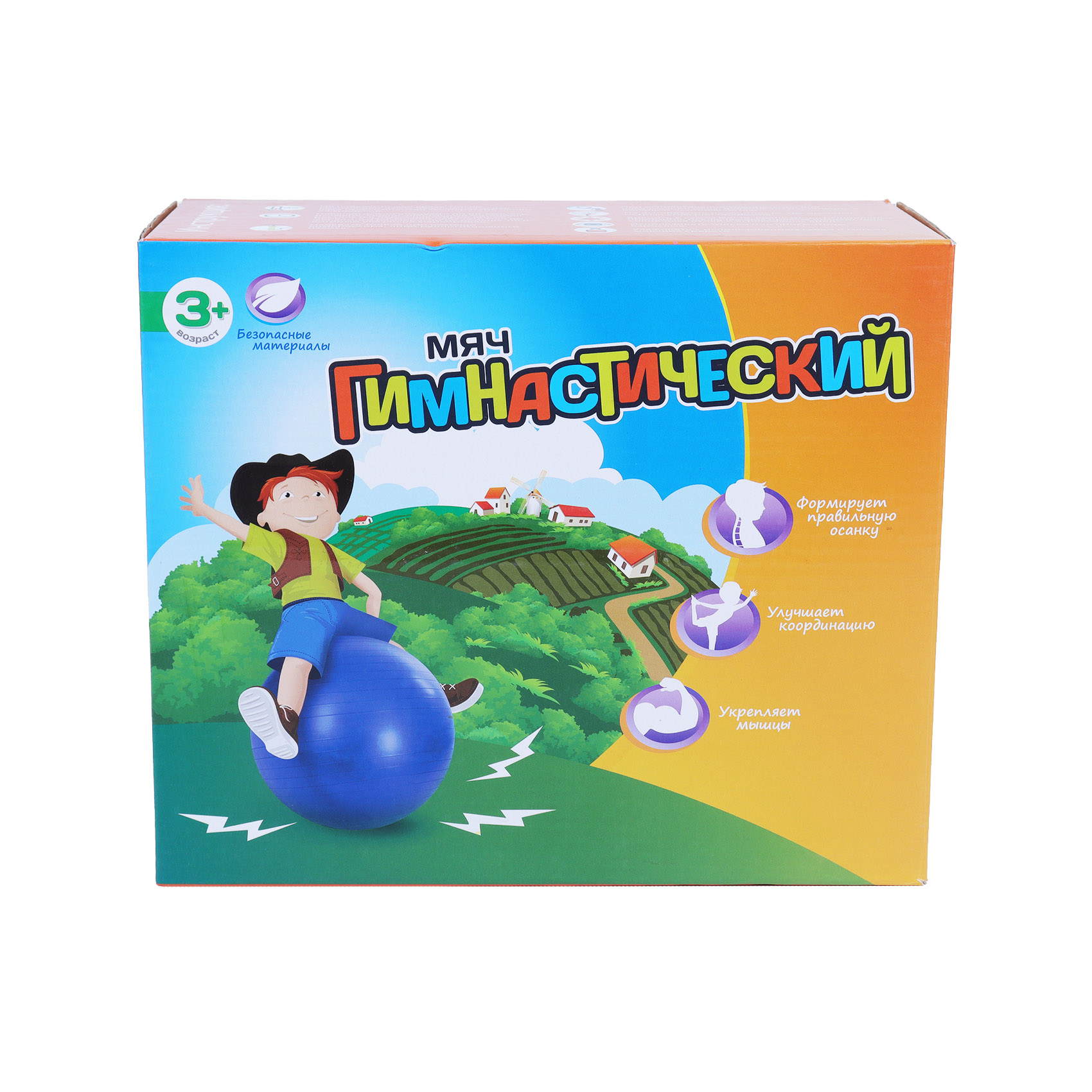 Мяч гимнастический фитбол синий 65см, фото 4