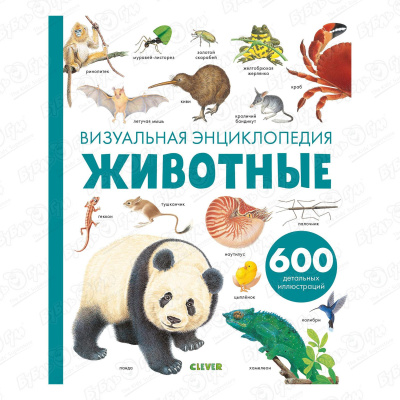 Энциклопедия визуальная «Животные»