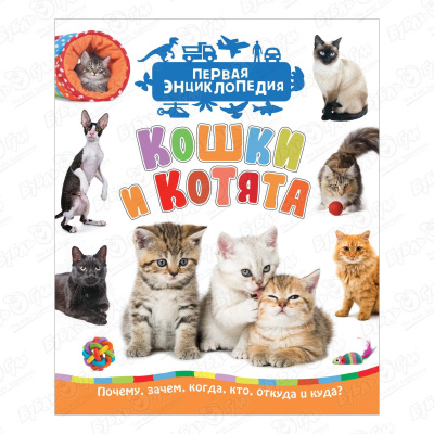 Книга «Первая энциклопедия: Кошки и котята» энциклопедия для детского сада кошки и котята