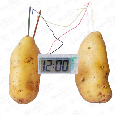 Набор «Исследовательский набор: Картофельные часы» с 6лет цена и фото