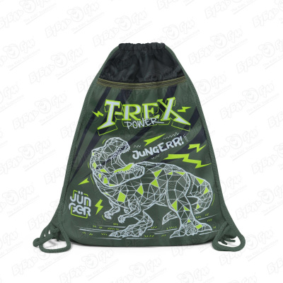 цена Мешок для обуви JUNGER T-rex с рисунком динозавр черно-зеленый