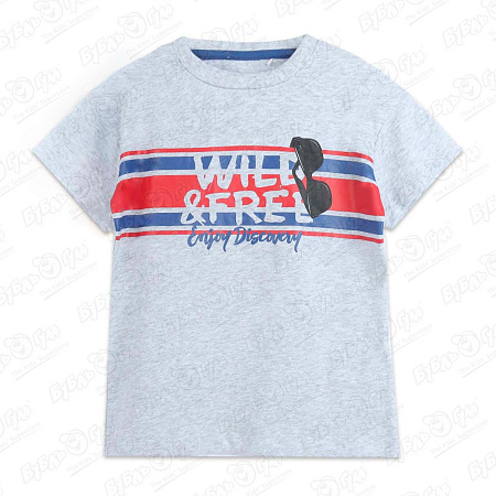 Футболка Lanson Kids с надписью wild free и красно-синими надписями серая
