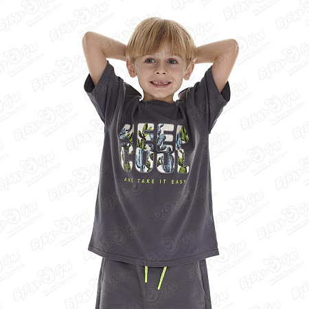 Футболка Lanson Kids с надписью Keep Cool серая