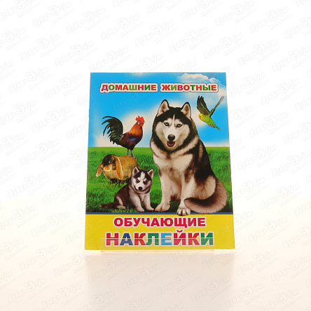 Книга с наклейками Домашние животные 50шт - фото 360