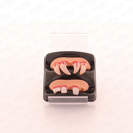 Набор накладных зубов 2 шт - фото 360 Набор накладных зубов 2 шт - фото 360