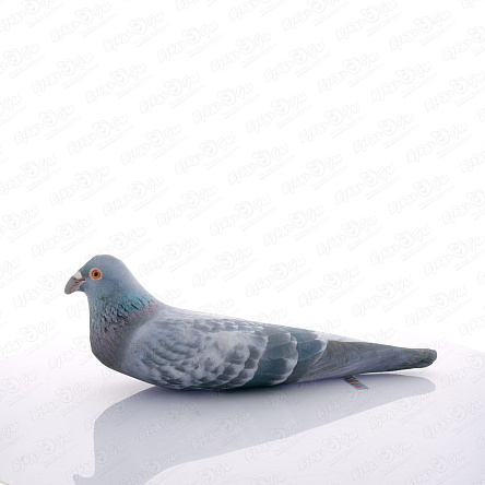 Игрушка-антистресс мягкая Cизый голубь 43см - фото 360