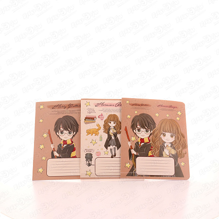 Тетрадь Гарри Поттер клетка 12л в ассортименте - фото 360