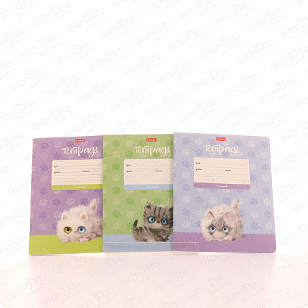 Тетрадь Кошарики линия 12л в ассортименте - фото 360