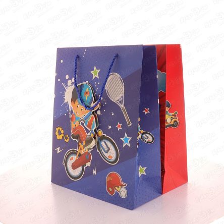 Пакет подарочный Мальчишечьи забавы ассортименте 31х26см - фото 360