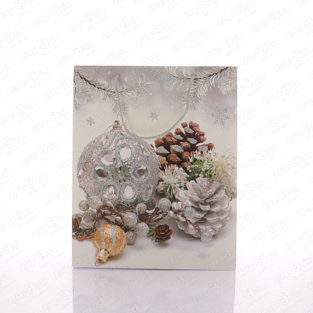 Пакет подарочный Новогодний натюрморт 31х26см в ассортименте  - фото 360 Пакет подарочный Новогодний натюрморт 31х26см в ассортименте  - фото 360