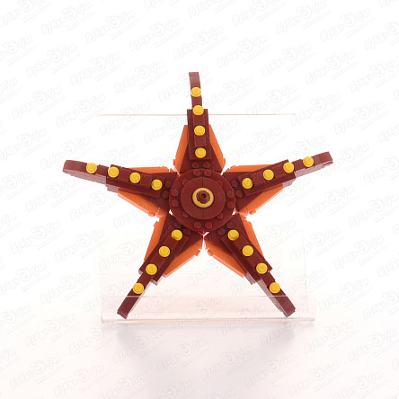 Конструктор Трансформер Морские обитатели 2в1 в ассортименте  - фото 360