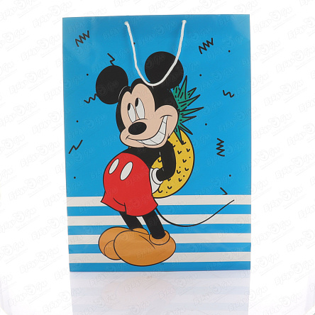 Пакет подарочный Mickey Mouse 33х46см - фото 360