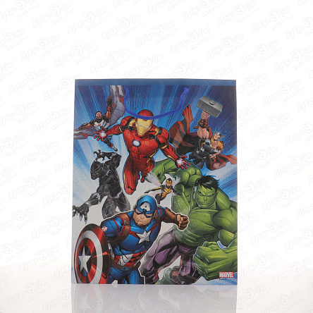 Пакет подарочный Мстители 26х32,4см - фото 360