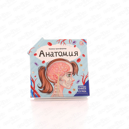 Книжка-трансформер Анатомия с 5лет - фото 360