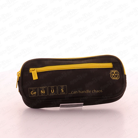 Пенал JUNGER Химия с двумя отделами желто-черный - фото 360