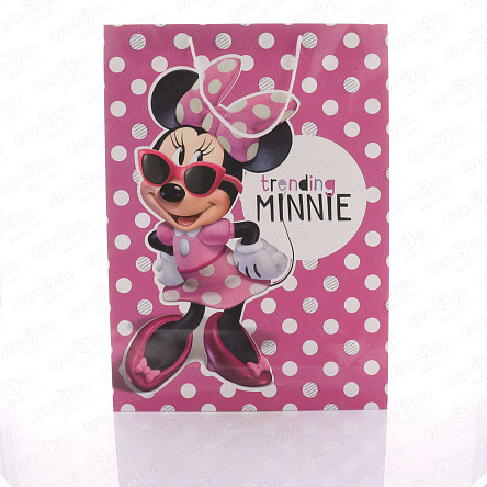 Пакет подарочный большой Minnie Mouse 33х46см - фото 360