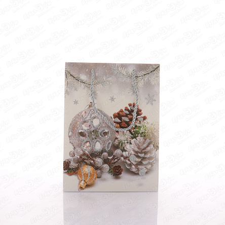 Пакет подарочный Новогодний натюрморт 24х18см в ассортименте  - фото 360 Пакет подарочный Новогодний натюрморт 24х18см в ассортименте  - фото 360