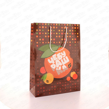 Пакет подарочный Чебурашка 25х35см - фото 360 Пакет подарочный Чебурашка 25х35см - фото 360