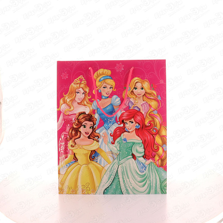 Пакет подарочный Принцессы Disney 26х32см - фото 360
