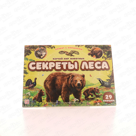 Книга Плакат с окошками Секреты леса - фото 360 Книга Плакат с окошками Секреты леса - фото 360
