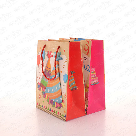 Пакет подарочный Праздничная вечеринка 24х18см в ассортименте - фото 360