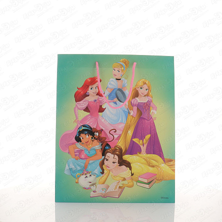 Пакет подарочный Принцессы Disney 26х32,4см - фото 360