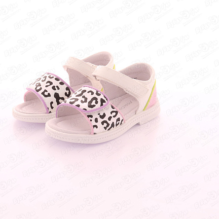 Сандалии Pasito на липучке летние с закрытой пяткой с цветными вставками и черно-белым принтом белые - фото 360