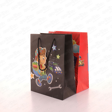 Пакет подарочный Мальчишечьи забавы 24х18см в ассортименте  - фото 360