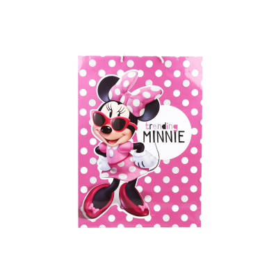 Пакет подарочный большой Minnie Mouse 33х46см пакет подарочный большой gulliver