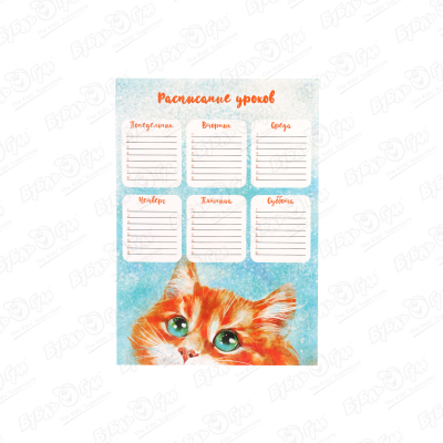 Расписание уроков Рыжий кот A4 набор тм рыжий кот раскраска на картоне a4 леопард на водопое арт р 2381